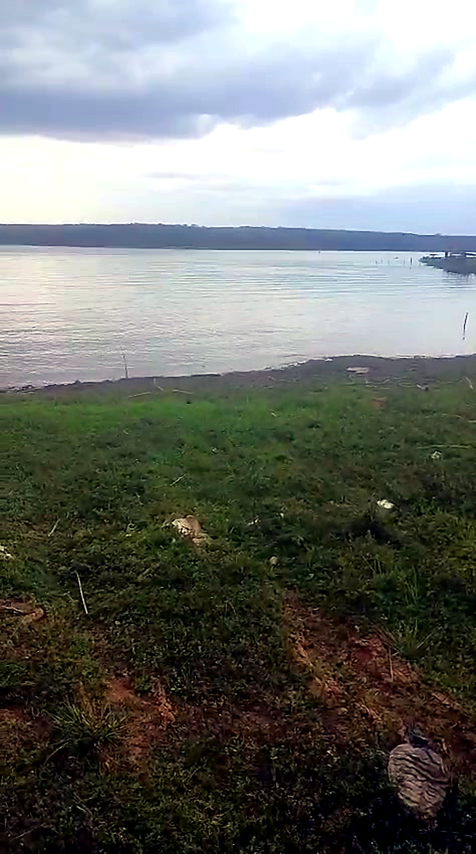 Margem da lagoa